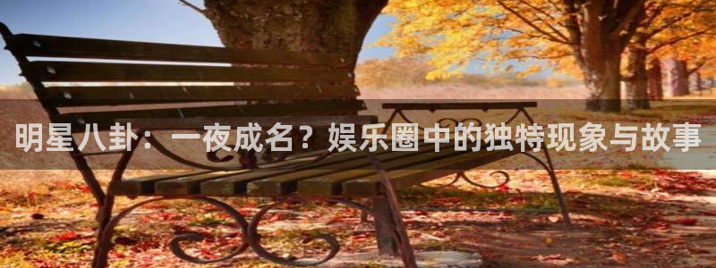 意昂2登录：明星八卦：一夜成名？娱乐圈中的独特现象与故事